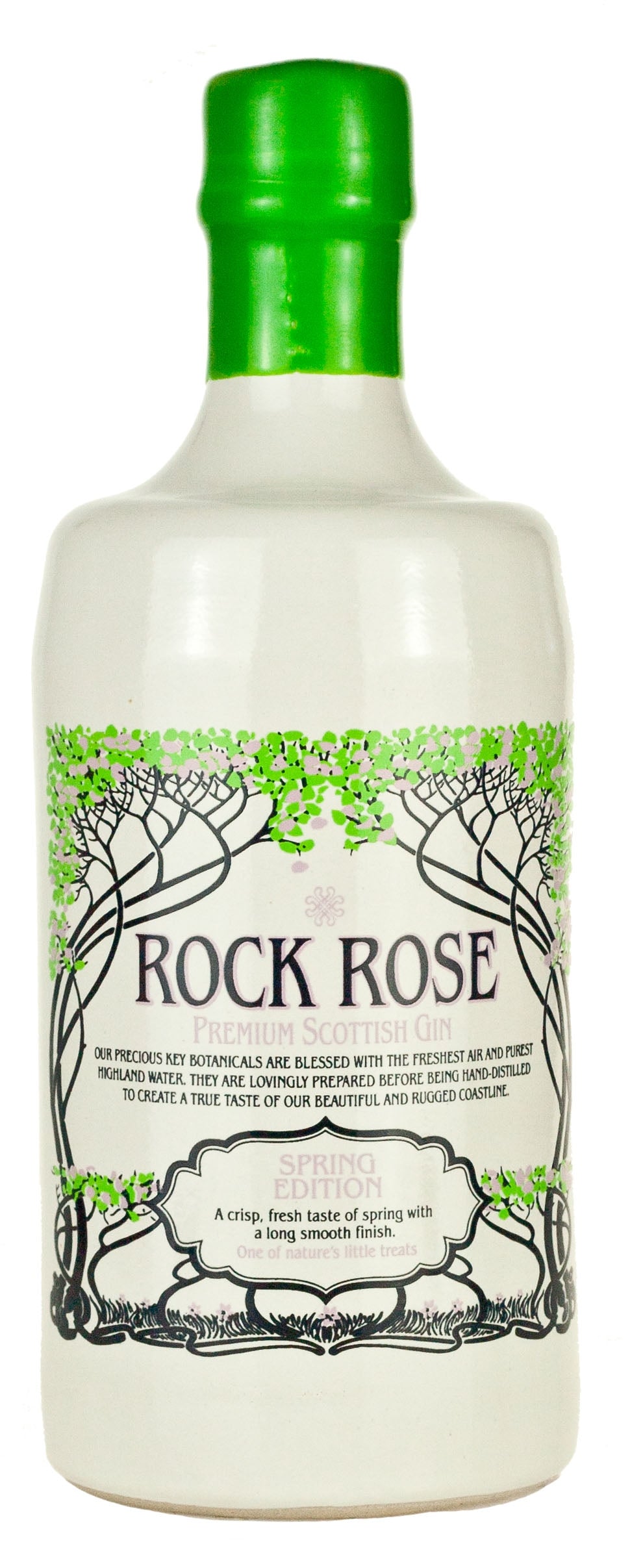 ダネットベイ ロックローズ スプリング 2018